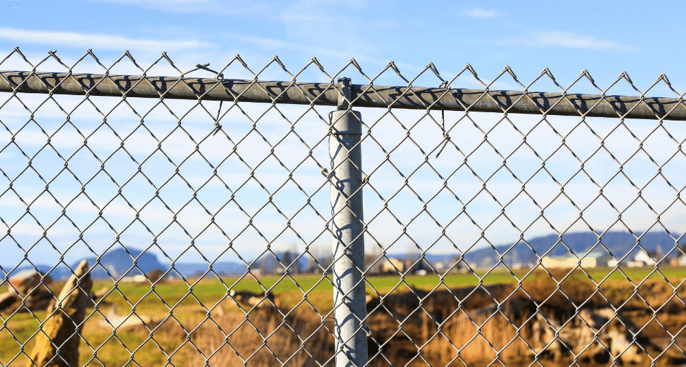 Chain Link Fence For Troy New York